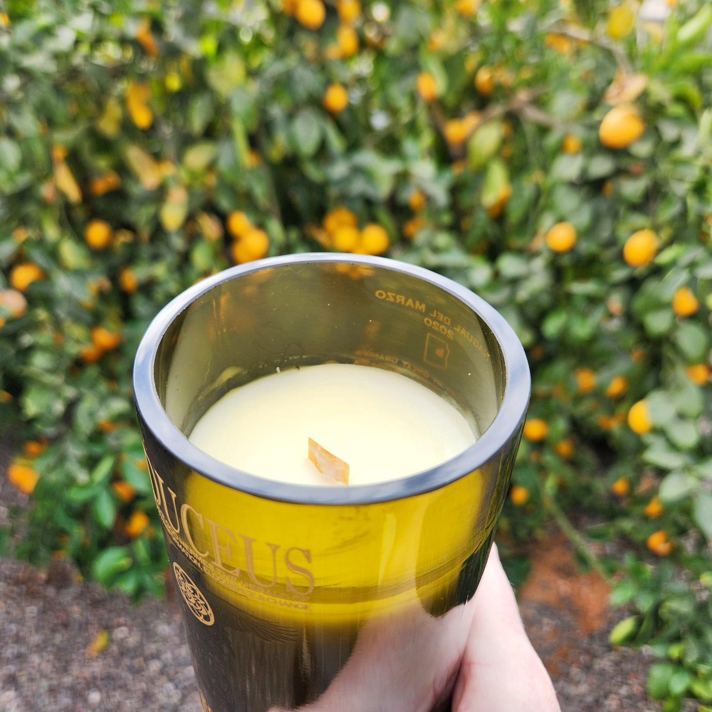 Eco-Friendly Arizona Wine Bottle Candle | Wooden Wick & Bright Citrus Scent | Orange Grove
