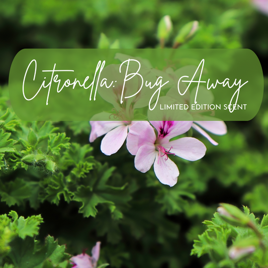 Pink flowers with a green label reading 'Citronella: Bug Away Limited Edition Scent' on a blurred green background.