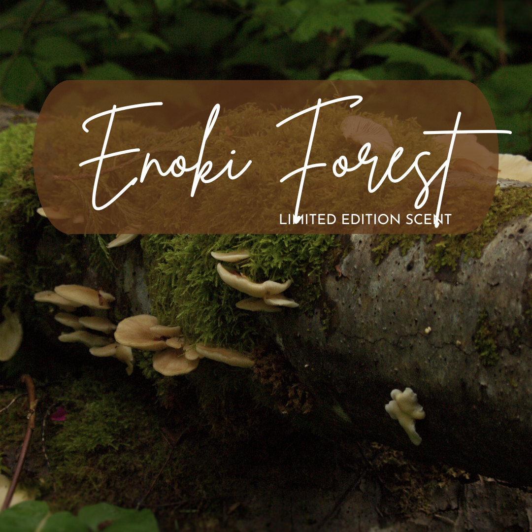 Mossy log with Enoki Forest scent label in a forest setting