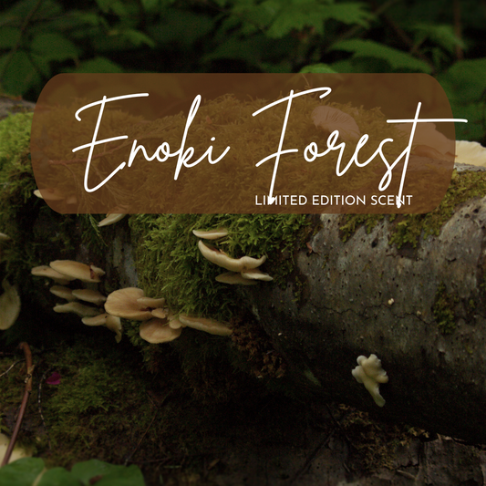 Mossy log with Enoki Forest scent label in a forest setting