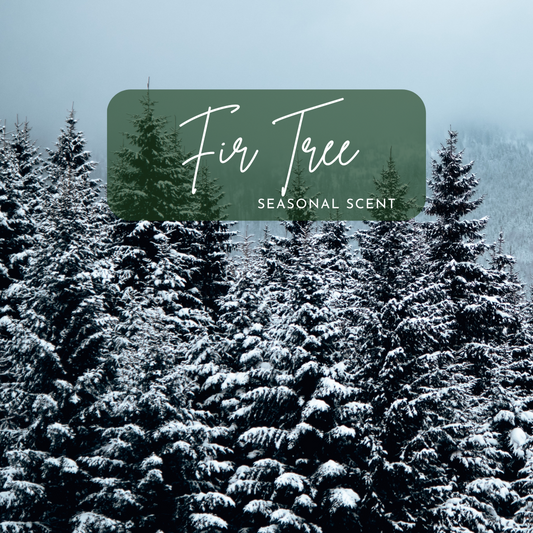 Snow-covered evergreen forest beneath a foggy sky with “Fir Tree Seasonal Scent” text overlay, representing the inspiration behind the eco-friendly Fir Tree wine bottle candle from Cactus Vine Candles.