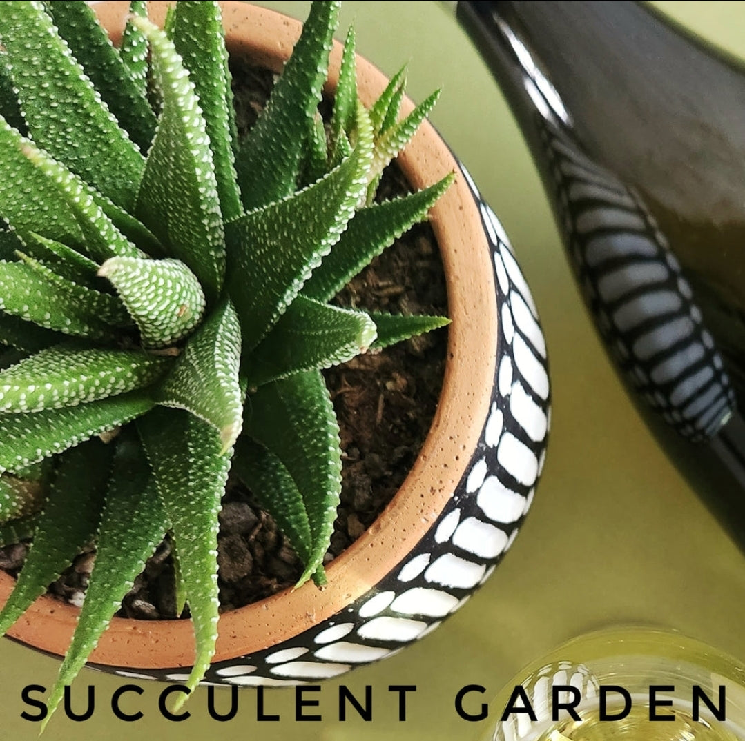 "Succulent Garden" Scented Wax Melts: Vegan, Coconut-Soy Blend Wax