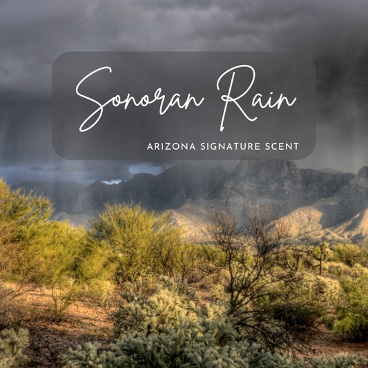 Desert landscape during a dramatic monsoon downpour, with heavy clouds and streaks of rain over Arizona’s Sonoran terrain. The text “Sonoran Rain – Arizona Signature Scent” is overlaid on the image, representing the true creosote-forward inspiration behind this eco-friendly candle scent.