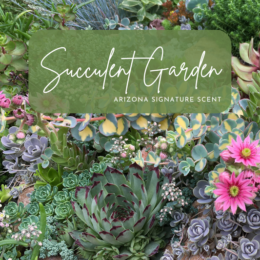 A lush assortment of colorful succulents, including hens and chicks, variegated jade, and pink-blooming cacti, fills the frame beneath a green overlay that reads “Succulent Garden – Signature Arizona Scent.” The image evokes the fresh, earthy vibe of a blooming desert garden.