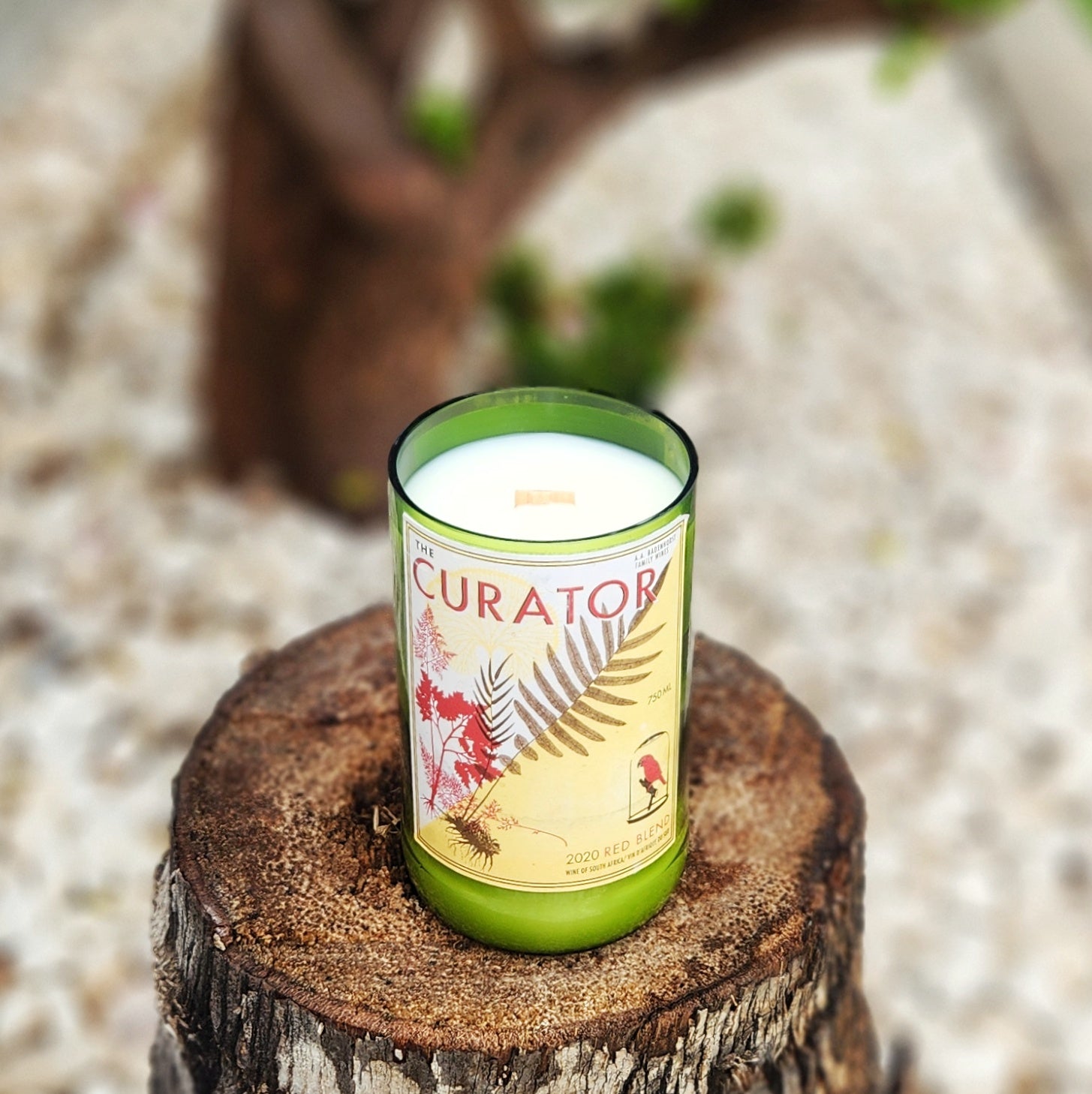 A hand-poured candle in a recycled green wine bottle with a label that reads “The Curator” sits on a tree stump. The clean-burning coconut soy wax and wooden wick are visible, with the earthy forest-themed label facing forward.