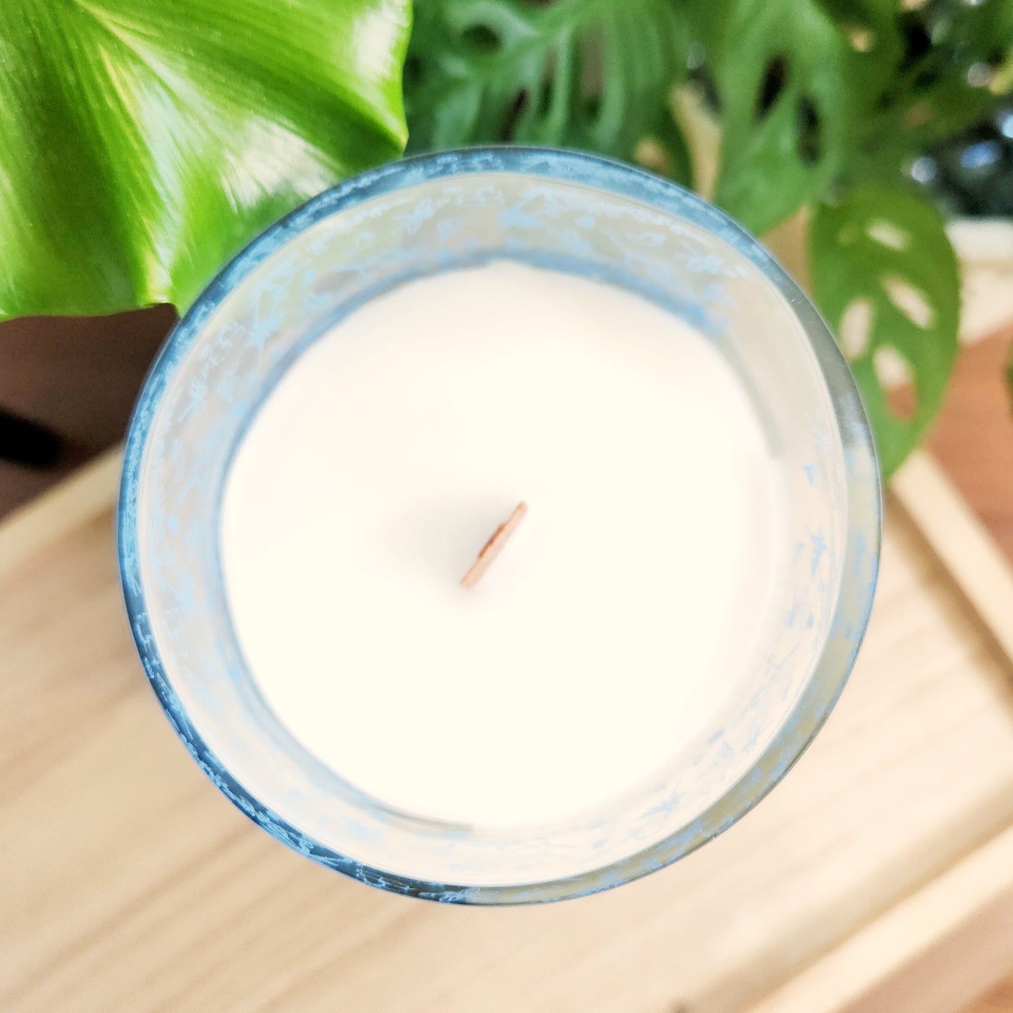 Top-down view of a white coconut soy wax candle with a single wooden wick, set in a recycled wine bottle with a soft blue floral rim. The smooth wax surface and clean, polished glass reflect the handcrafted quality of this non-toxic, eco-friendly candle by Cactus Vine.