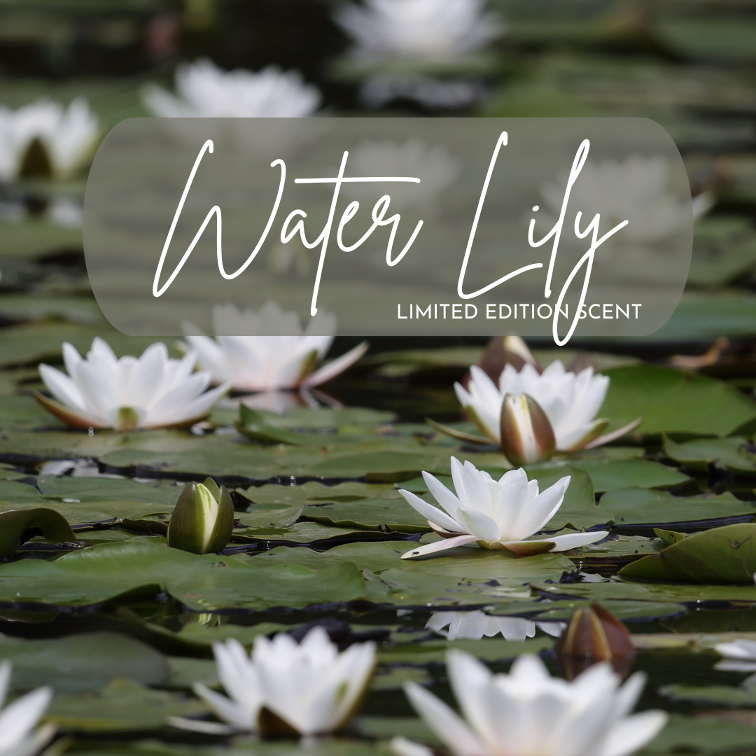 White water lilies on green water with 'Water Lily Limited Edition Scent' text overlay.
