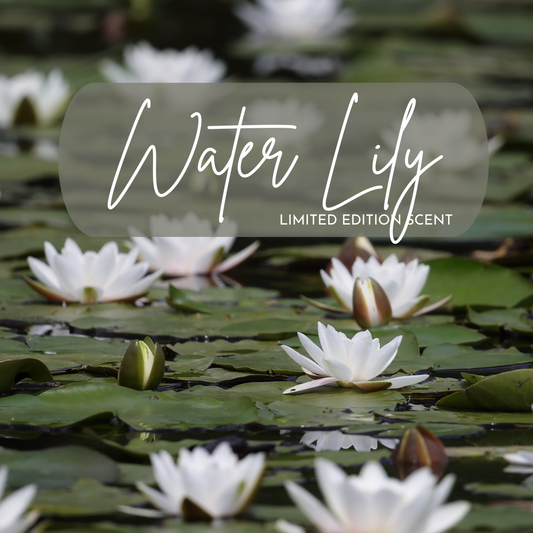 White water lilies on green water with 'Water Lily Limited Edition Scent' text overlay.