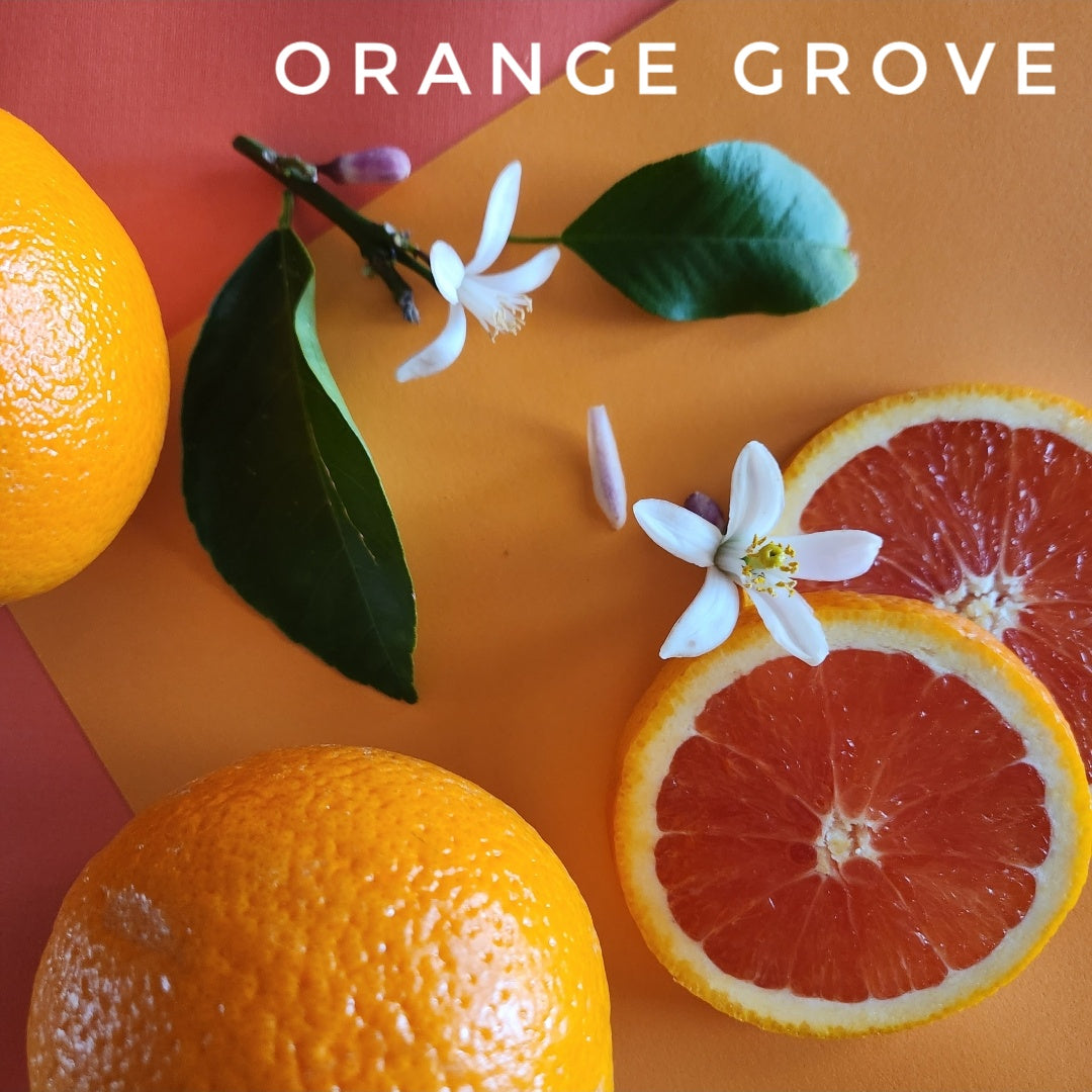 "Orange Grove" Scented Wax Melts: Vegan, Coconut-Soy Blend Wax