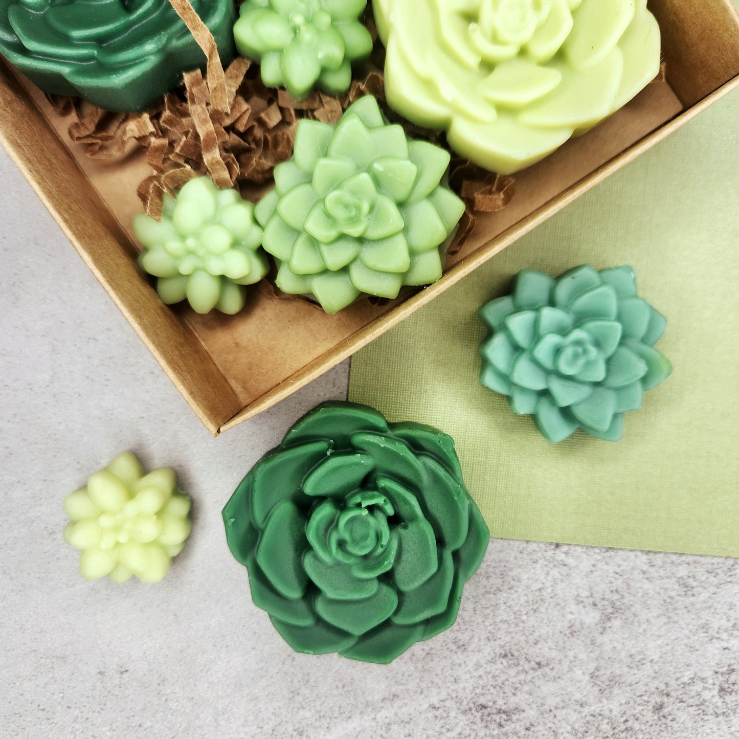 Box of Succulent Garden wax melts shaped like various succulents, featuring a soothing cactus flower and petrichor scent.