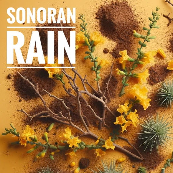 A flat lay photograph featuring desert plants, yellow creosote flowers, and scattered dirt on a warm yellow background. The earthy composition evokes the essence of a desert landscape after rainfall, with the text 'Sonoran Rain' displayed prominently in the upper left corner. 