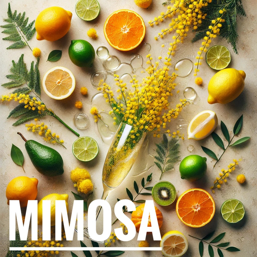 A flat lay photograph featuring a glass of champagne with yellow mimosa flowers spilling from the top, surrounded by citrus fruits like lemons, limes, and oranges, along with greenery and leaves. The bright colors of the fruits and flowers contrast against a neutral background. The word "Mimosa" is written in bold white text at the bottom of the image.

