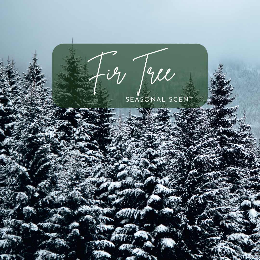 Snow-covered evergreen forest beneath a foggy sky with “Fir Tree Seasonal Scent” text overlay, representing the inspiration behind the eco-friendly Fir Tree wine bottle candle from Cactus Vine Candles.