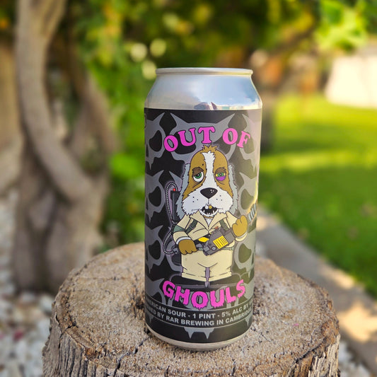 Upcycled beer can candle made from a RAR Brewing can with a “Out of Ghouls” label featuring a cartoon ghost hunter dog in front of a black skull pattern. Hand-poured with coconut soy wax and finished with a wooden wick, this candle blends humor, horror, and sustainability.