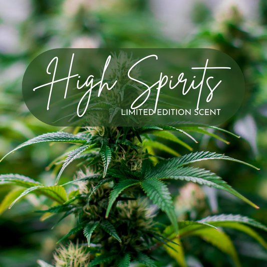A vibrant cannabis plant in full bloom, with bright green serrated leaves and fuzzy buds in focus. The background is softly blurred, enhancing the lush texture of the plant. Text overlay in flowing script reads “High Spirits – Limited Edition Scent,” hinting at the playful, herbal inspiration behind the scent
