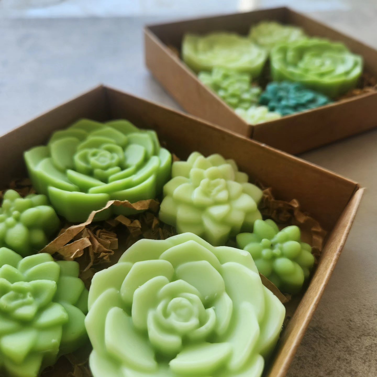 2 boxes of green, succulent-shaped wax melts, elegantly arranged on crinkled brown paper, showcasing their unique design and fresh appearance.