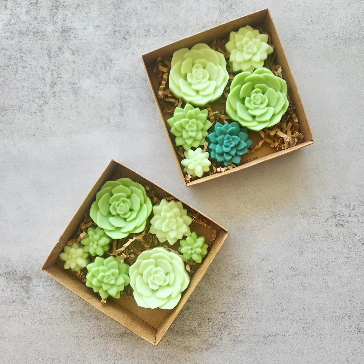 Top view of 2 boxes of green, succulent-shaped wax melts, elegantly arranged on crinkled brown paper, on a concrete background.