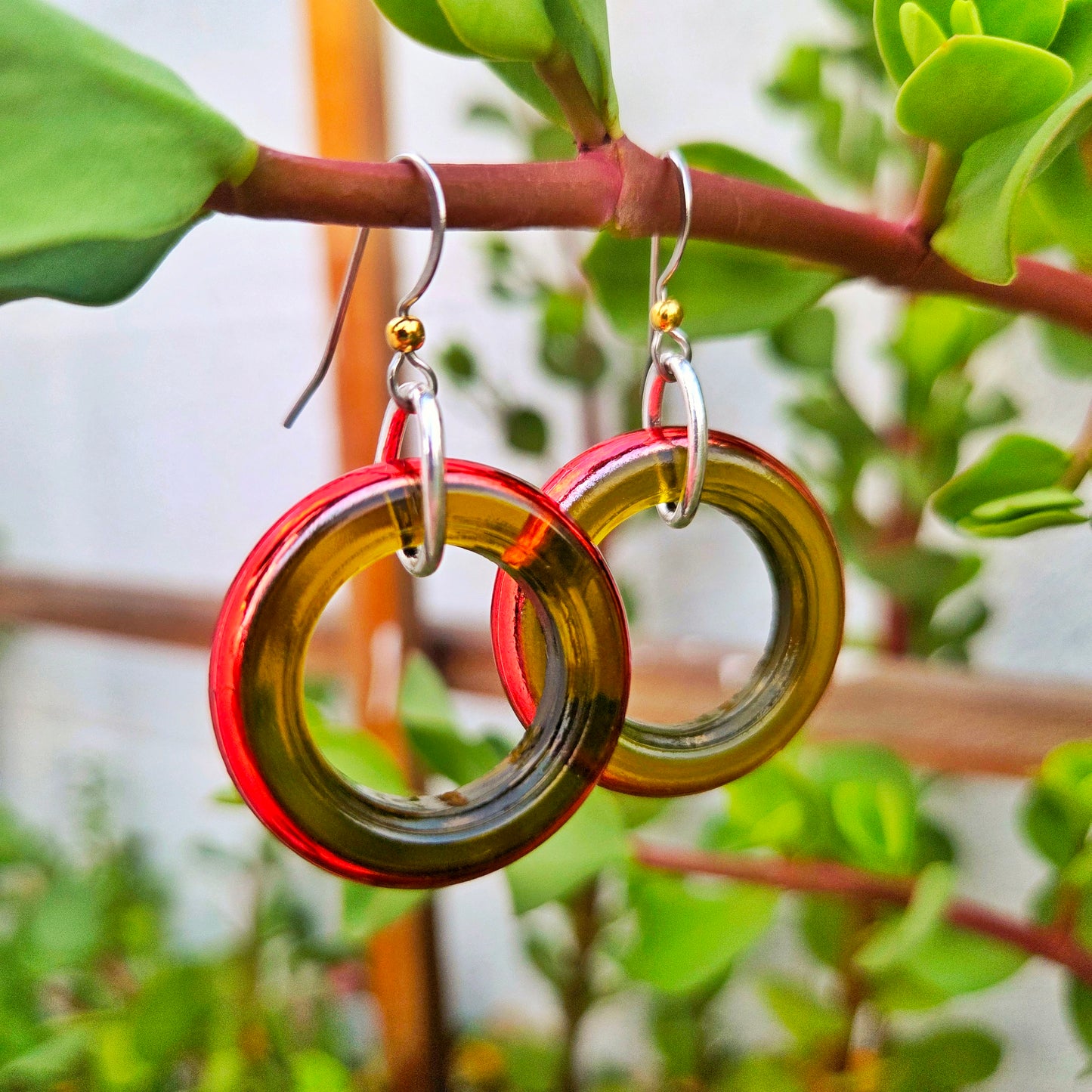 Two circular drop earrings made from translucent olive-green glass with a red-orange rim, hanging from silver fishhook wires with small gold beads, photographed outdoors against a blurred green plant background.