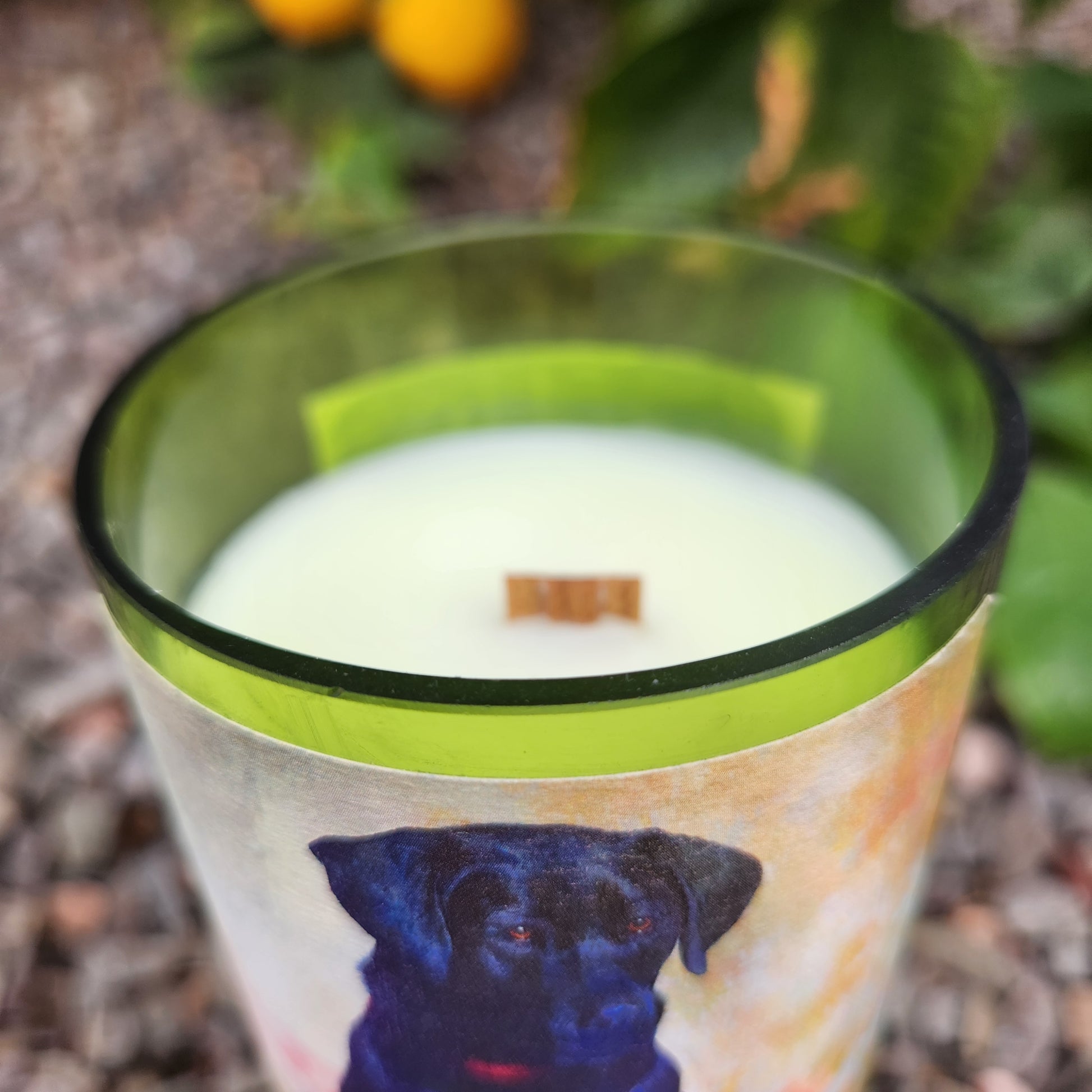 Close-up of a wooden wick wine bottle candle with a colorful dog label on a green wine bottle. The smooth rim and creamy wax highlight the clean-burning, sustainable design of this handmade candle.