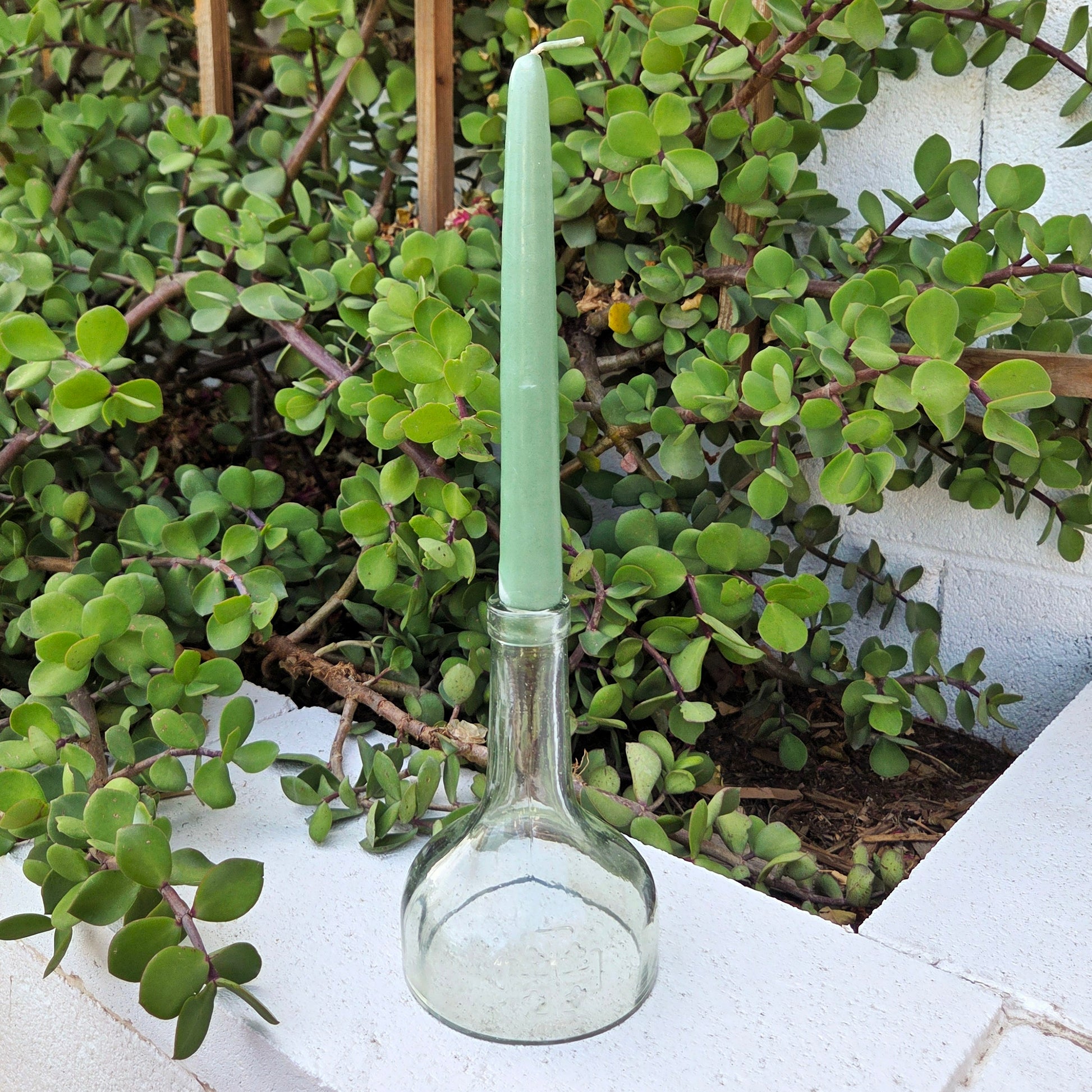 Green candle in a glass bottle top against a green leafy background