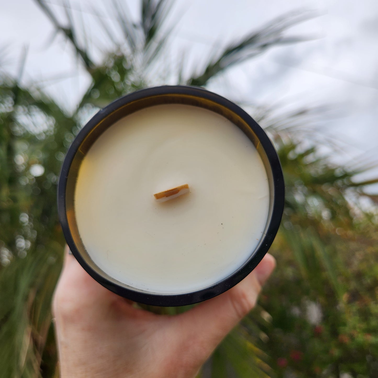 Top-down view of a hand-poured coconut soy wax candle with a wooden wick, housed in a recycled wine bottle. The smooth glass rim catches soft light with tropical foliage in the background.

