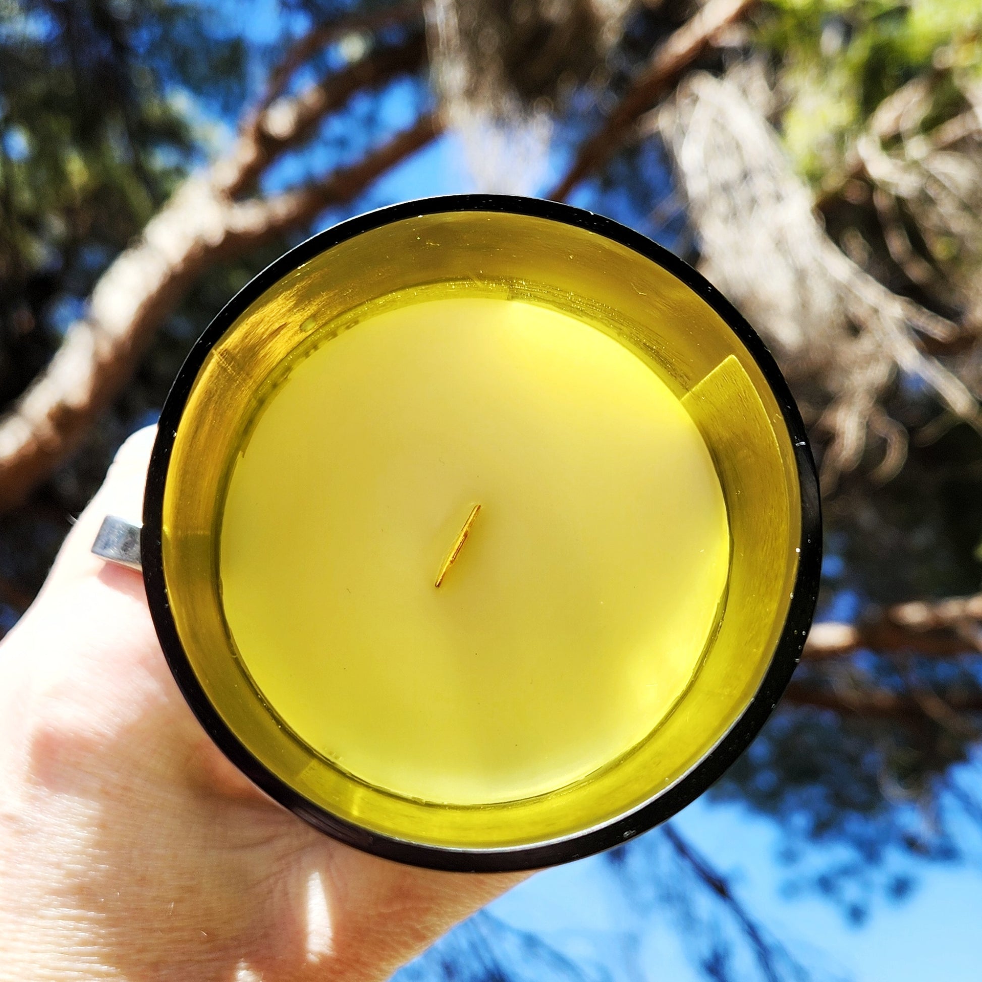 Top view of a hand-poured wine bottle candle with creamy coconut soy wax and a wooden wick, glowing in yellow-tinted recycled glass under a pine tree canopy—perfect for cozy winter vibes.