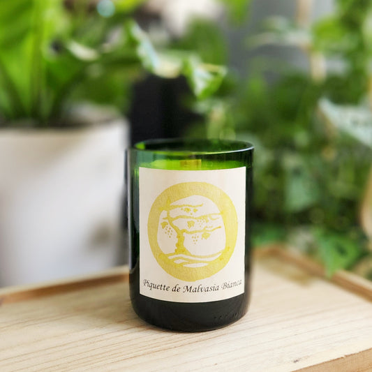 A recycled green wine bottle candle with a smooth glass rim, featuring a label that reads "Piquette de Malvasia Bianca" with a minimalistic yellow design of grapes and a wine scene. The candle is set on a light wooden surface with lush greenery in the blurred background, creating a fresh and eco-friendly vibe.